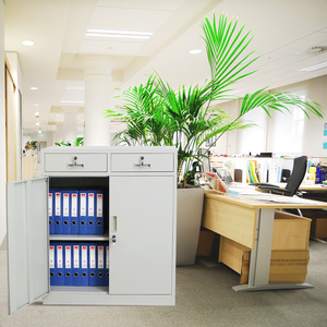 Modern Style Steel Office Low Cabinet Iron <strong>File</strong> &amp; <strong>Archive</strong> Document Voucher Employee Storage Cabinet - Product Image 5