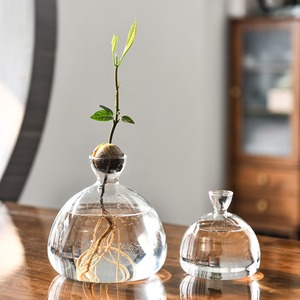 <span class=keywords><strong>Vase</strong></span> en verre esthétique MSH en forme de noyau d'<span class=keywords><strong>avocat</strong></span>, <span class=keywords><strong>vase</strong></span> en verre transparent pour la maison moderne - Product Image 2