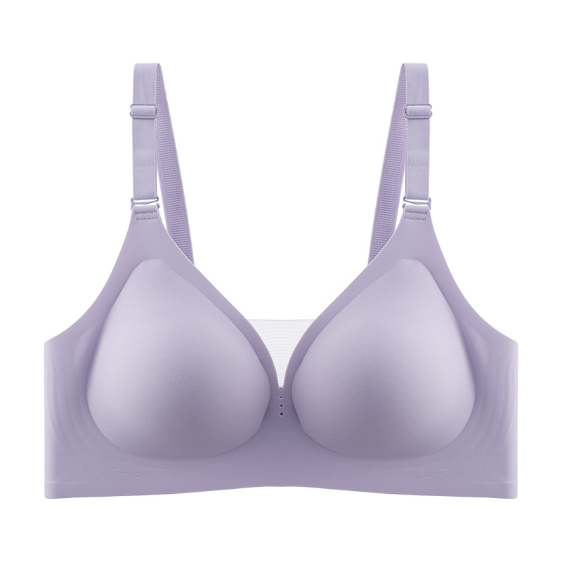 Pourpre
