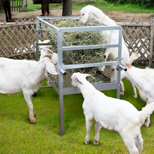 Mangeoire à foin personnalisée râtelier 2 en 1 en métal robuste et mangeoire à grain pour bétail pour pâturage de chèvres bovins moutons chevaux - Product Image 3