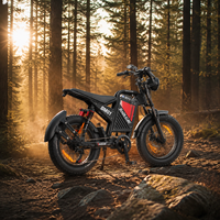 Vélo de montagne électrique 48v avec logo personnalisé OEM, 1000w, tout-terrain, pneus larges de 20 pouces, vélo électrique tout-terrain