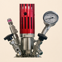 Autoclave de laboratoire ZN-KJ avec agitation par couplage magnétique, pression nominale de 12,5 MPa, dispositif de test pilote sécurisé pour laboratoire, équipé de surveillance de précision