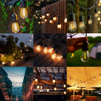 Guirlande lumineuse LED S14 extérieure personnalisée OEM ODM, IP65, anti-corrosion UV, faible MOQ pour aménagement de jardin et de fête en extérieur