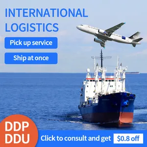 International logistics freight forwarder ocean shipping company from China guangzhou to japan door to door delive service