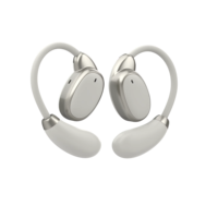 Traducteur portable Écouteurs Bluetooth intra-auriculaires Sport Smart Réduction de bruit Écouteurs sans fil Traduction multilingue