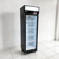 Réfrigérateur vertical de présentation de boissons à porte vitrée simple avec contrôle mécanique de la température, équipement de réfrigération, fabrication OEM