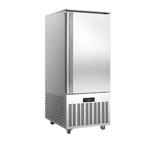 Small Air Cooling Blast Freezer Fast Freezing Small Refrigeration Machine single door Refrigerator Chiller