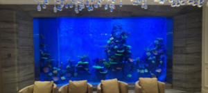 カスタマイズ可能 220V 透明 大型 アクリル 水槽 ホテル 民宿 ヴィラ用 観賞魚 タンク - Product Image 6