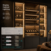 Driver d'éclairage pour armoire avec 6 sorties contrôlées et 1 port indépendant, alimentation LED 12V 24V 36W 60W FREE36-23