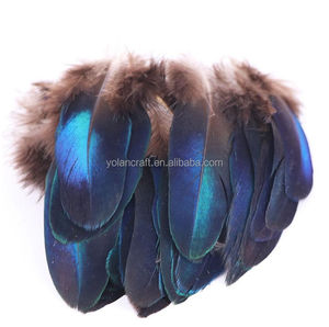 Divers types de plumes de paon naturelles pour la décoration de mariage, accessoires pour cheveux, décoration de fête, accessoires de pêche - Product Image 5