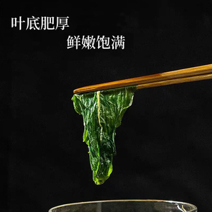 <span class=keywords><strong>Tisane</strong></span> aux herbes en sachet, saveur thé, pour renforcer l'immunité, feuilles de <span class=keywords><strong>pissenlit</strong></span> séchées saines, thé au <span class=keywords><strong>pissenlit</strong></span> - Product Image 5