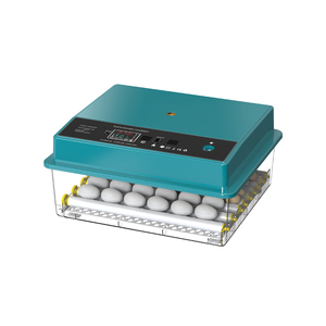 Nouveau design de mini incubateurs et machine à couver de couleur verte 36 œufs de poule <span class=keywords><strong>Couveuse</strong></span> à œufs entièrement <span class=keywords><strong>automatique</strong></span> - Product Image 6