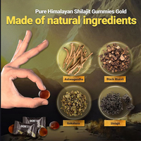 Complément alimentaire micronutritif à base de plantes, gommes de Shilajit de l'Himalaya avec Ashwagandha et Gokshura, plus de 85 oligo-éléments, stimule l'endurance