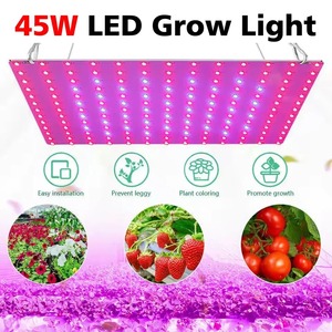 Lámpara LED de Cultivo de 45W para Todas las Plantas, Enchufe US/EU, 169 LED, Bombilla LED de 45W para Plantas, Invernaderos, Lámpara Fitoluminaria de Interior - Product Image 5
