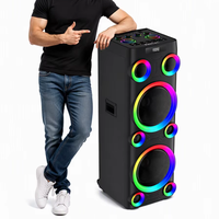 Speaker Pesta Kayu BKK OEM 500W RMS Dual 12 Inch dengan Lampu LED RGB, Sistem Suara Karaoke BT