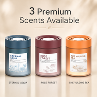 THALO 180g Désodorisant Solide pour Voiture, Parfum Longue Durée, Éliminateur d'Odeurs pour Décoration Intérieure de Véhicule