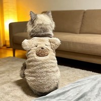 Vêtements d'hiver pour chat, pulls en fibre de polyester épais et moelleux, gilets confortables pour chiens Basset - Utilisation en intérieur