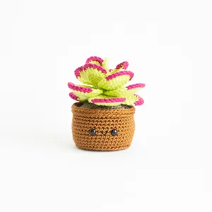Sukkulente Amigurumi Stilvolle hand gestrickte Häkel-Mini-Sukkulenten pflanze für Wohnkultur