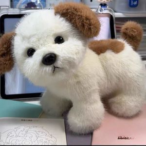 Juguete de Peluche Súper Suave para Perros, Diseño Personalizado, Material Ecológico, Alivio del Estrés, Regalo para Niños - Product Image 1