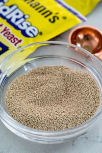 Lievito di lievito secco istantaneo ad alta attività 500g 450g 125g 100g 5g 10g 11g 5kg 10kg 25kg per la fermentazione rapida dell'impasto del pane - Product Image 4