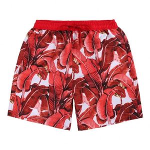 Shorts de Playa Personalizados para Hombre, Trajes de Baño para Fisicoculturismo, Entrenamiento, Secado Rápido para Competencia - Product Image 1