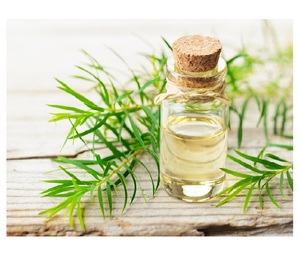 Aceite Esencial de Árbol de Té 100% Puro de Alta Calidad para el Cuidado del Cabello y la Piel, Terapia de Masajes, Sesiones de Spa, Relajación, Aroma Dulce y Fresco, Ecológico - Product Image 1