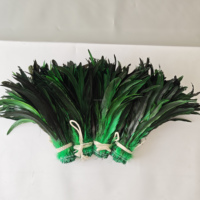 Plumes de coq teintes en gros, en guirlande, 30-35 cm, pour décoration de costumes de carnaval et de coiffes de samba