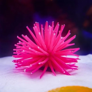 Groothandel Siliconen Zee-egels Vis <span class=keywords><strong>Aquarium</strong></span> Aquascape Kleurrijke Zachte <span class=keywords><strong>Aquarium</strong></span> Ornamenten Huisdier/<span class=keywords><strong>Aquarium</strong></span> Decoratie - Product Image 5