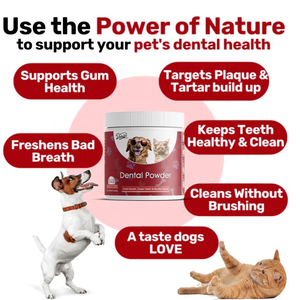 La poudre pour dents de chien soutient des gencives saines et une haleine fraîche sans brossage. Formule de repas aux algues pour le soutien immunitaire - Product Image 5