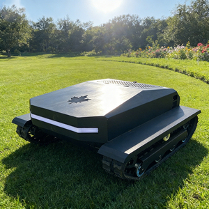 送料無料 野草刈機 ユーロ5 EPA 自動 ミニリモコン芝刈り機 販売中 - Product Image 4