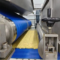 Industriële ananassapverwerkingslijn, sapmachines, snij- en pulpmachines, schilmachines voor kleine fabrieken