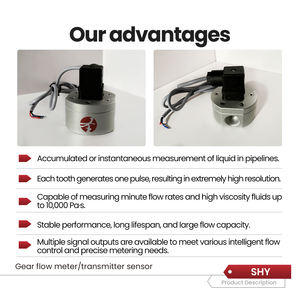 ステンレス鋼アルミニウム合金センサー OEM 燃料油ギア流量計トランスミッターセンサー DN6 〜 DN40 カスタマイズ可能 - Product Image 5