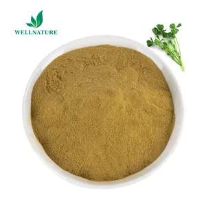 100% Natural Medicago Sativa bubuk ekstrak Alfalfa