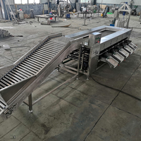 Ligne de machine de traitement de tri de lavage de carotte de tomate de pomme de terre végétale