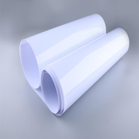 Feuille de plastique PET transparente super claire de qualité alimentaire 0,35 mm pour thermoformage sous vide pour emballage sous blister