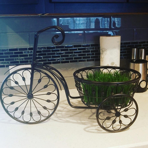 Support de plante en fer chromé de style parisien, tricycle durable, vintage, terrasse, nostalgique, vélo, décoration de jardin à domicile - Product Image 6