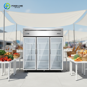 Enfriador de Bebidas Industrial, Doble Descongelación Automática, Construcción de Acero Inoxidable, Uso sin Supervisión, Control Digital de Temperatura - Product Image 5