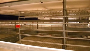 4 tầng h loại pin tự động gà lớp lồng kẽm nhôm hợp kim magiê nhúng nóng mạ kẽm tiết kiệm không gian 90-200 - Product Image 5