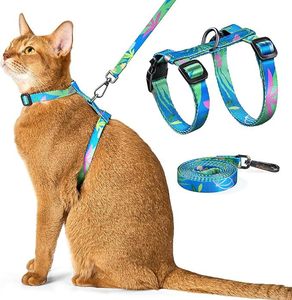 Arnés ajustable sin tirones para <span class=keywords><strong>perros</strong></span> y gatos, conjunto de collar de correa para caminar al aire libre, conjunto de arnés y correa para gatos transpirable suave - Product Image 1