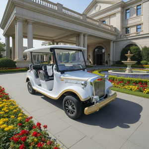 Carro Eléctrico Turístico de Lujo para 8 Personas, Batería de Litio, Estilo Clásico, 35 km/h, Autonomía de 80-100 km, Moderno - Product Image 1