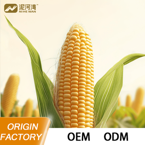 Nihewan Maïs jaune cireux biologique, collation séchée et gélifiée, transformée par lyophilisation, directement de la ferme, OEM ODM, en vrac, sur mesure - Product Image 3