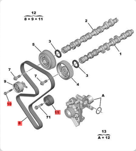 <span class=keywords><strong>Courroie</strong></span> <span class=keywords><strong>de</strong></span> moteur <span class=keywords><strong>de</strong></span> composant <span class=keywords><strong>de</strong></span> <span class=keywords><strong>distribution</strong></span> OE 0831T4 0831K3 0816G4 0829A9 083042 pour Peugeot <span class=keywords><strong>307</strong></span> 308 408 807 Citroen C4 2.0 - Product Image 2