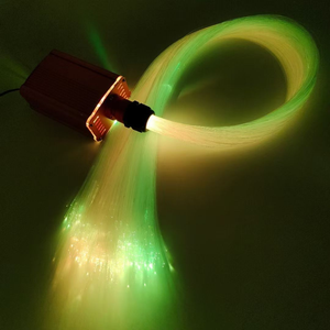 Kit de Fibre Optique LED RSPOF 30W à Grand Port, Moteur Lumineux 6000K Lumière du Jour, Effet Ciel Étoilé, 0.75mm 1.0mm IP67 Ra90 - Product Image 2