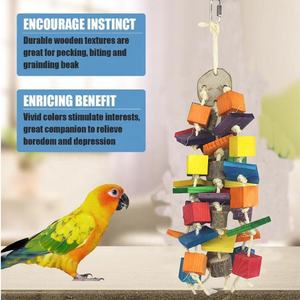 Hot Selling Large and Medium-sized Diamond <strong>Grey</strong> <strong>Parrot</strong> Wooden Colored Biting <strong>Toys</strong> - Product Image 4