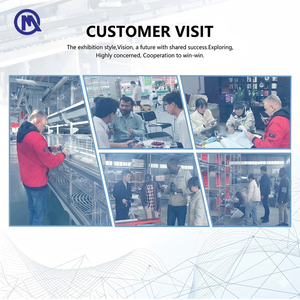 Gabbia Incubatrice per <span class=keywords><strong>Pulcini</strong></span> di 1 Giorno, Progettata per Allevamenti Avicoli - Product Image 2