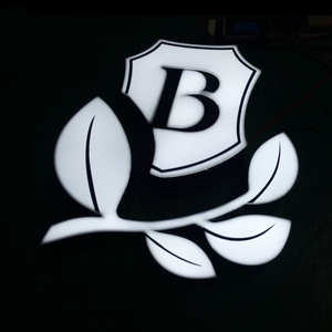 Tùy Chỉnh Made Led Tên Công Ty Và Logo Dấu Hiệu Cửa Hàng Phía Trước Chiếu Sáng Rgb Kênh Dấu Hiệu Led Logo - Product Image 2