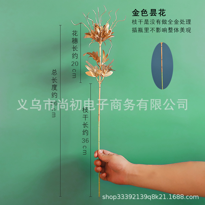 Golden Epiphyllum