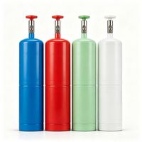 Bouteille de gaz industrielle haute précision, formule non toxique, 1L, en acier, 24 bars, pour utilisation en consigne en supermarché