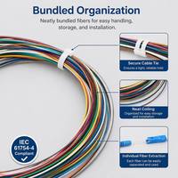 Kabel Patch Fiber Optik Model Grosir 12 Core 09mm Pigtail SC/UPC Data Room SC Interface Bundle Cina