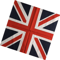 Bandana sportive personnalisée avec drapeau national, en coton écologique, drapeau de la République dominicaine, pour supporters, vente en gros